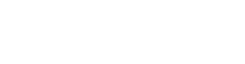 Evolving Systems logo